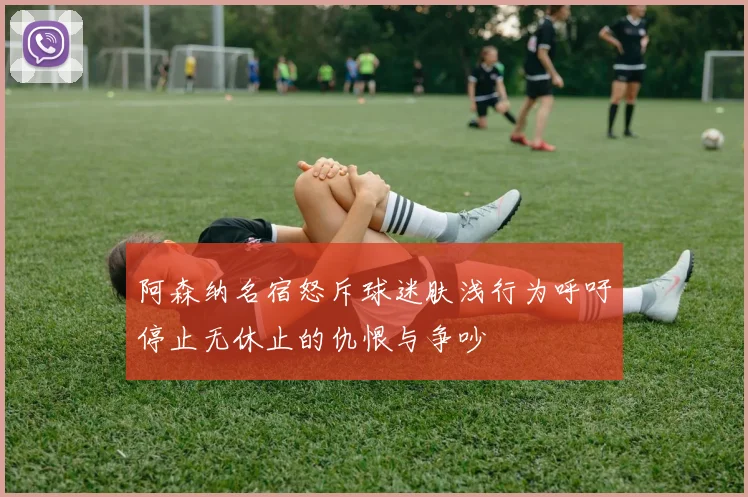 阿森纳名宿怒斥球迷肤浅行为呼吁停止无休止的仇恨与争吵