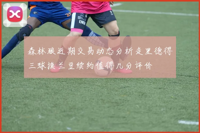 森林狼近期交易动态分析走里德得三球换兰豆续约值得几分评价