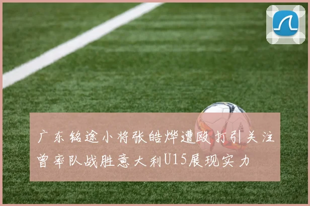 广东铭途小将张皓烨遭殴打引关注曾率队战胜意大利U15展现实力
