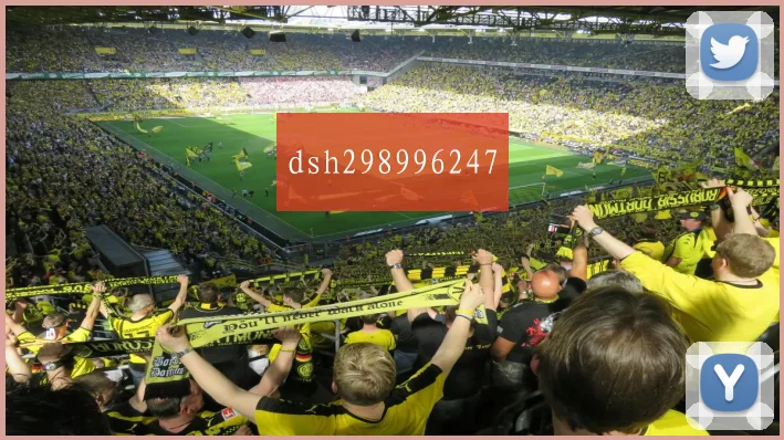dsh298996247