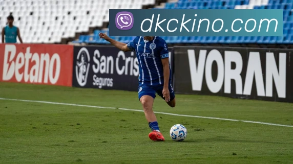 登录器